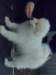cimg2939_small.jpg