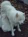 cimg2943_small.jpg