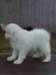 cimg2945_small.jpg