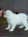 cimg2946_small.jpg