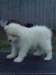 cimg2947_small.jpg