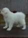 cimg2948_small.jpg