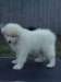 cimg2949_small.jpg