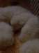 cimg2964_small.jpg