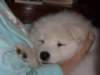 cimg2979_small.jpg