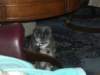 cimg2984_small.jpg