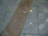 cimg3227_small.jpg