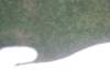 cimg3883_small.jpg