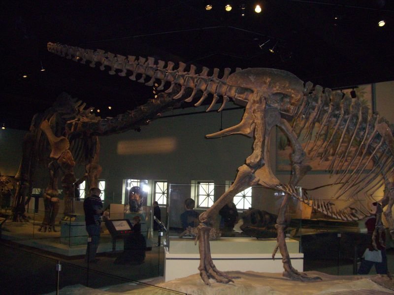 cimg3969800x600.jpg