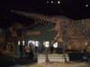 cimg3969800x600_small.jpg
