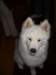 cimg4272_small.jpg