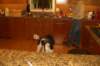 cimg4663_small.jpg