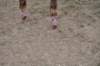 dsc_0010_small.jpg