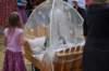 dsc_0012_small.jpg