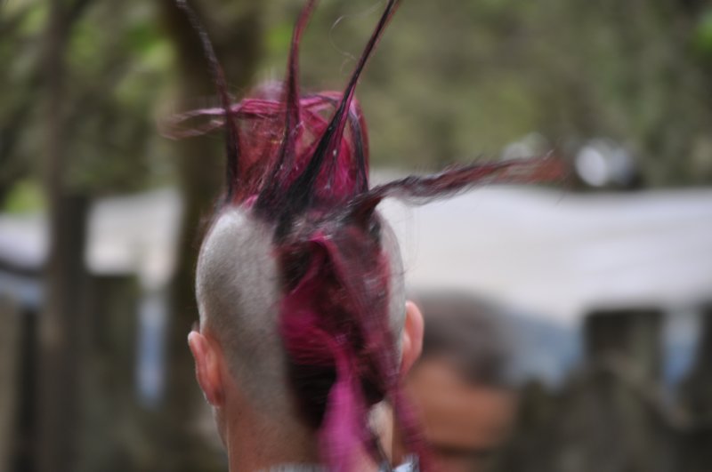 dsc_0014.jpg