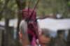 dsc_0014_small.jpg