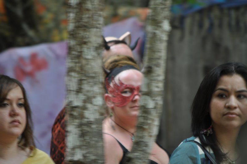 dsc_0086.jpg