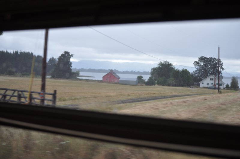 dsc_0250.jpg