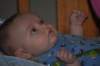 dsc_0232_small.jpg