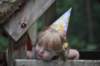 dsc_0244_small.jpg