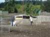 september2009042_small.jpg
