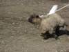 september2009045_small.jpg