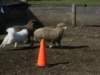 september2009046_small.jpg