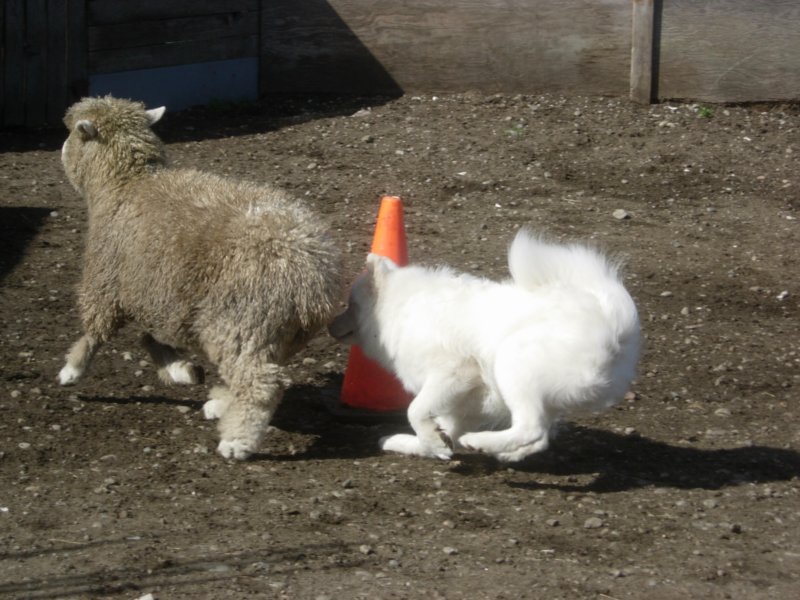 september2009047.jpg