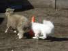 september2009047_small.jpg
