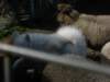 september2009048_small.jpg