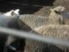 september2009049_small.jpg