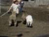september2009050_small.jpg