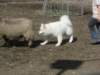 september2009051_small.jpg