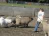 september2009052_small.jpg