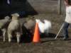 september2009053_small.jpg