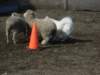 september2009056_small.jpg