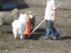 september2009057_small.jpg