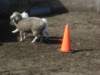 september2009058_small.jpg