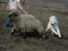 september2009059_small.jpg