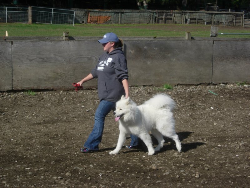 september2009062.jpg