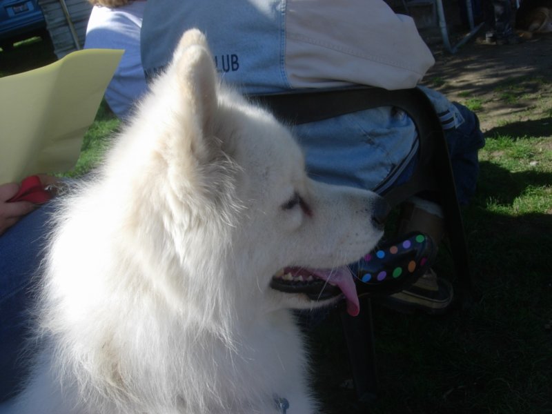 september2009065.jpg