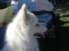 september2009065_small.jpg