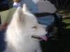 september2009066_small.jpg