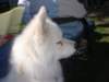 september2009067_small.jpg