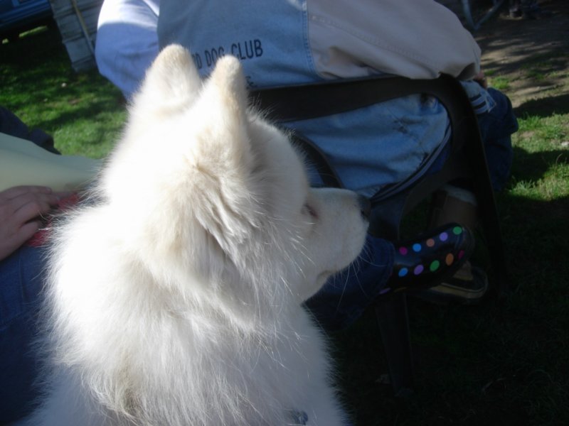 september2009068.jpg