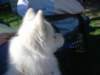 september2009068_small.jpg