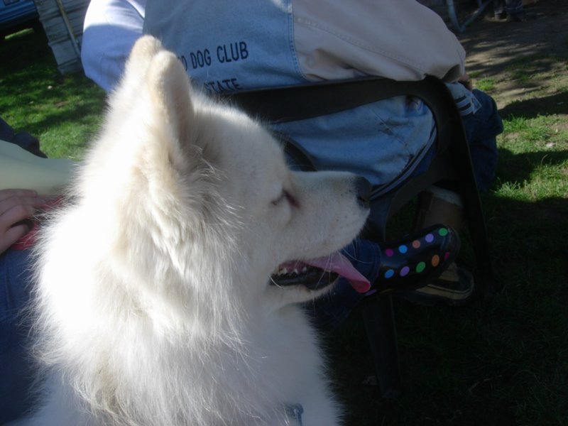 september2009069.jpg