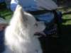september2009069_small.jpg
