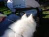 september2009070_small.jpg