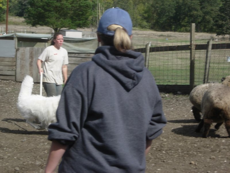 september2009071.jpg